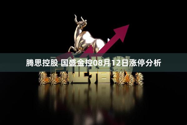腾思控股 国盛金控08月12日涨停分析