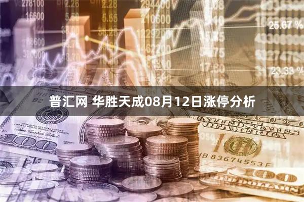 普汇网 华胜天成08月12日涨停分析