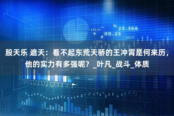 股天乐 遮天：看不起东荒天骄的王冲霄是何来历，他的实力有多强呢？_叶凡_战斗_体质