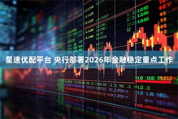 星速优配平台 央行部署2026年金融稳定重点工作